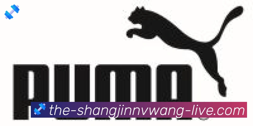 PG赏金女王合作伙伴